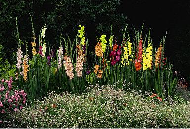 《仙剑奇侠传7》Steam版10月22日正式推出 预售已结束